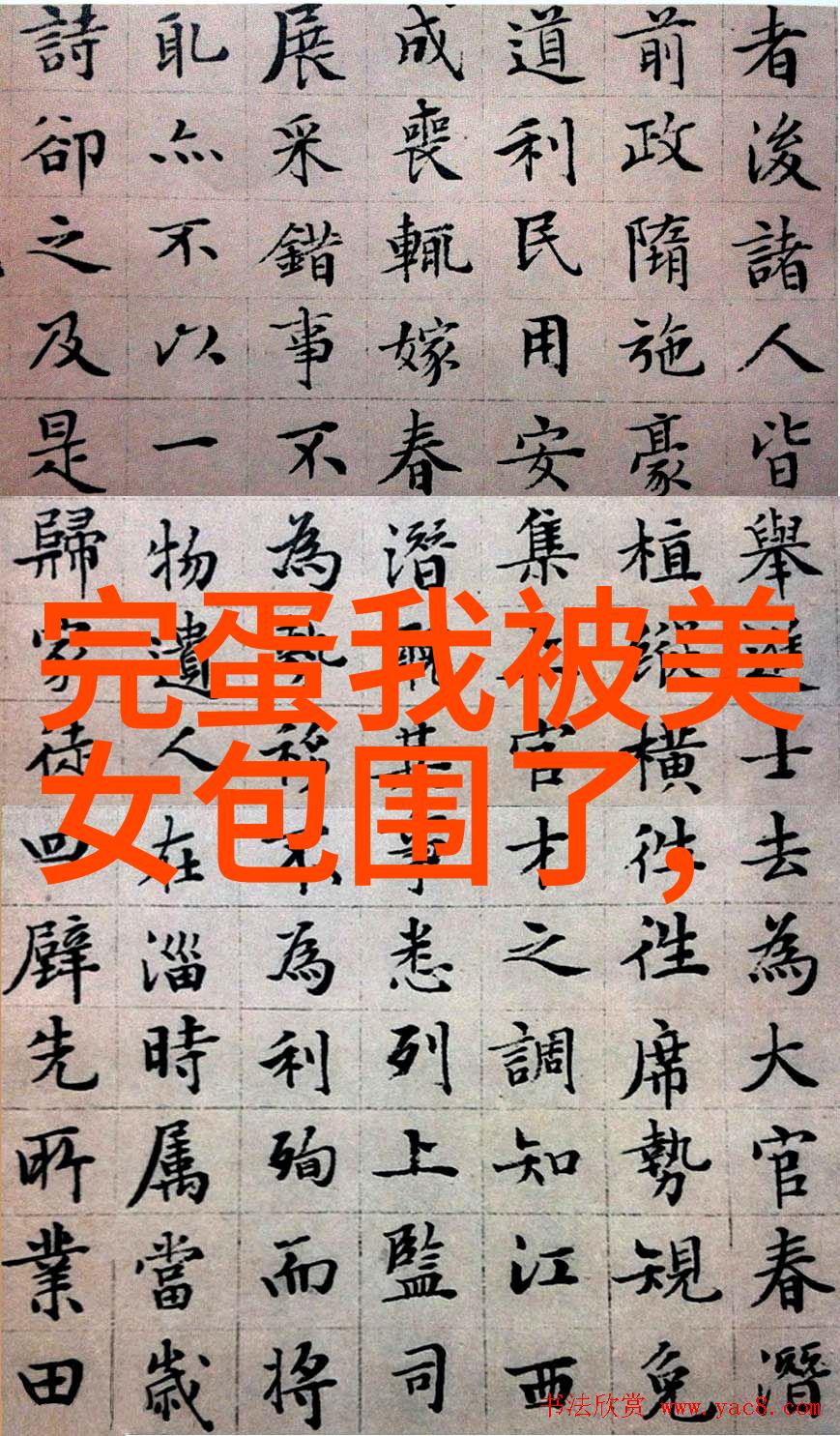 狂躁美女大BBBBBB时尚穿搭与精彩表演的完美结合