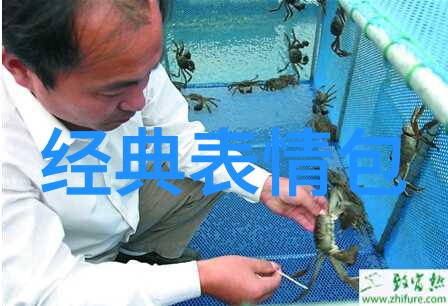 现代男神的日常镜头下的魅力与生活