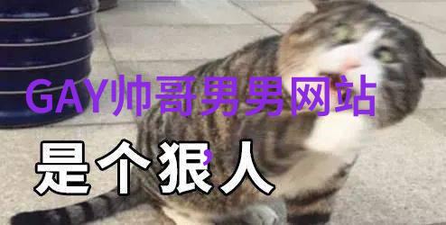 时尚娱乐八卦TOMMY HILFIGER双十一狂欢盛宴衣橱新篇章