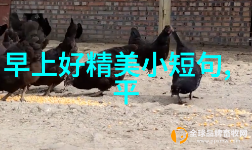 轻松搭讪的艺术探索免费交友聊天软件的魅力