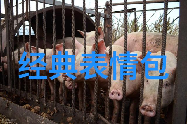 岁月绘影情深似海的两字网名
