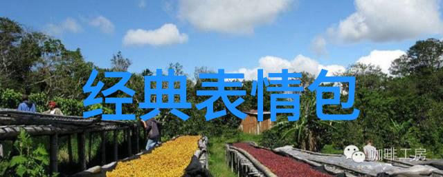 心灵之园静心修炼的智慧与力量