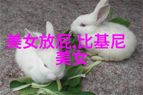 在2023年你的微信签名能否融入优雅温柔的文案让它像你一样既搞笑又充满个性