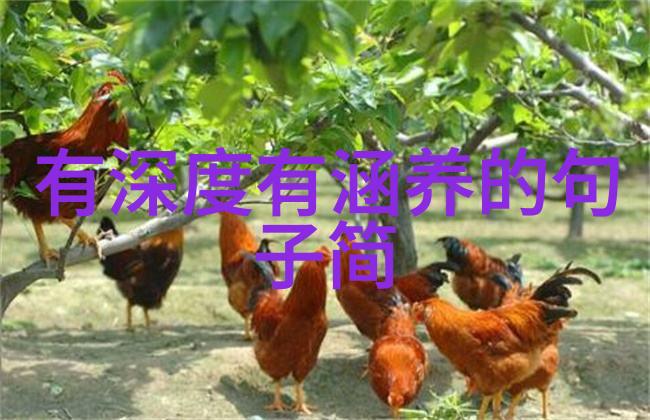 在萌娃图片大全中可爱不仅在于外表还有其他什么因素呢