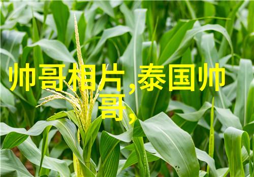 星光闪耀的梦幻联赛当偶像们变身为超级英雄