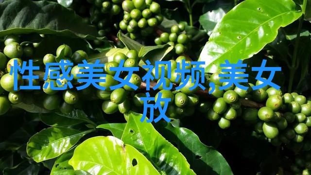 主题我遇见的黑丝美女她的魅力和她背后的故事