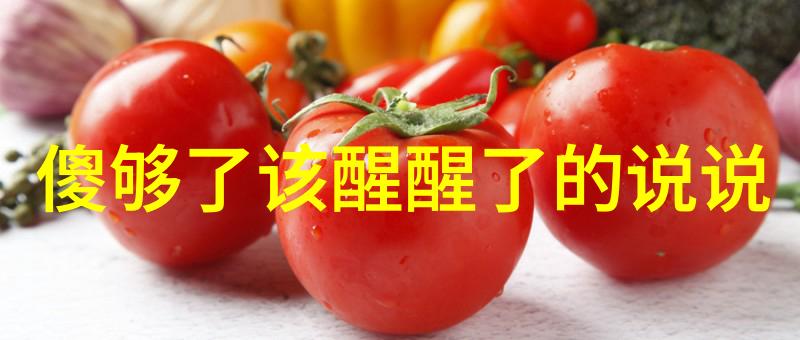 语言交流角落 - 多国语言QQ群大全介绍