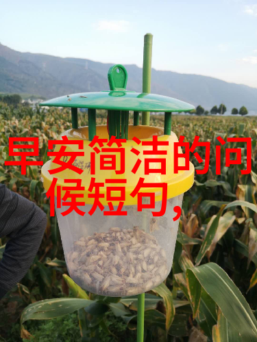 动感漫画男孩探索卡通世界中的魅力与意义