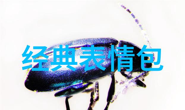 揭秘为时太早的隐喻之谜从字面到意境的转换
