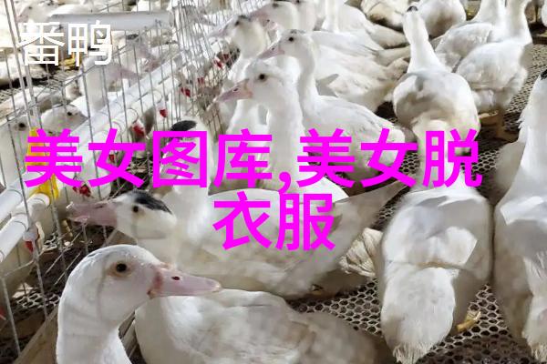 今天你为什么不成为元气满满的网名励志大全2020