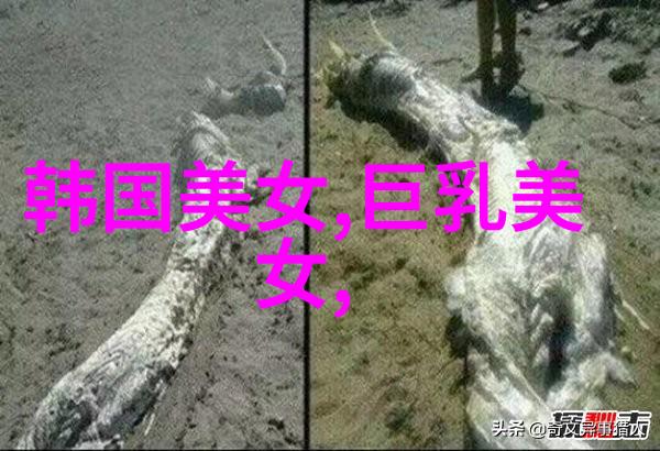 冬日之光雪花下的圣诞礼物