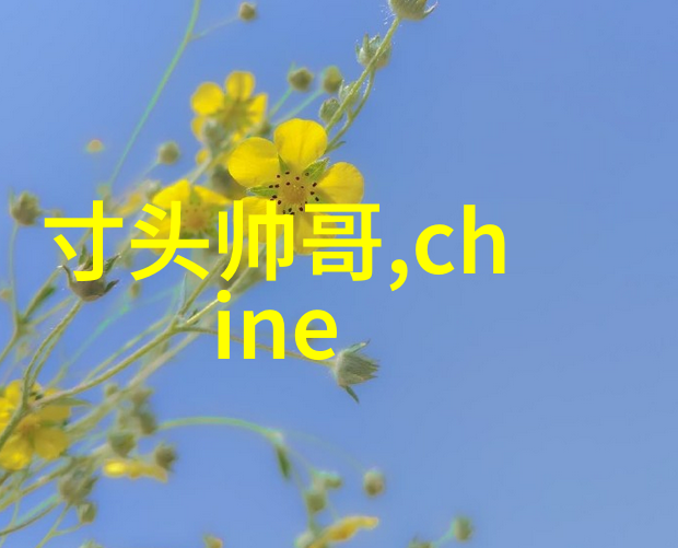火影忍者小樱的禁照之谜