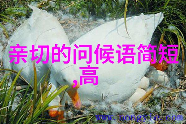 心灵深处的回声泪水中的自我反思