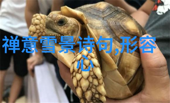 笑容满面卡通人物的可爱魅力
