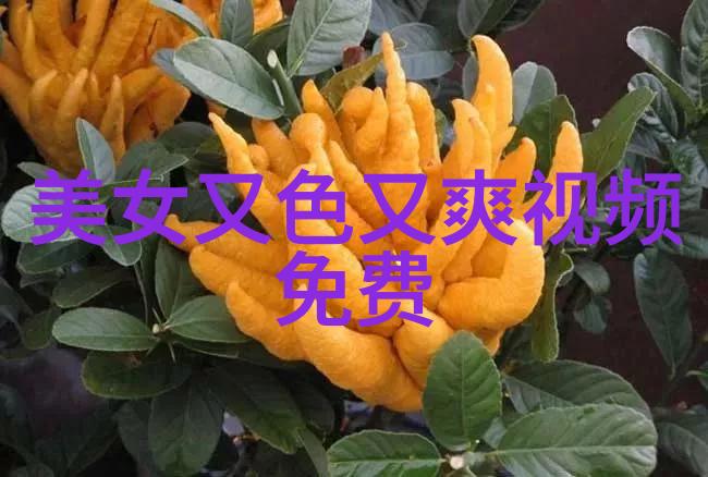 武汉滴滴出行群聊隐私泄露事件引关注