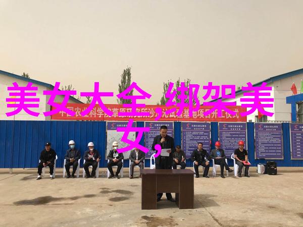 12月节日风情圣诞冬至与新春的温馨交融