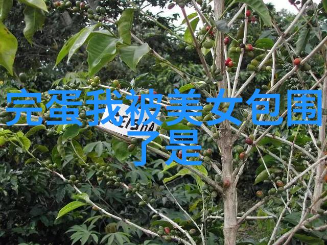 超分辨率可爱电脑壁纸的视觉艺术与人机交互设计探究