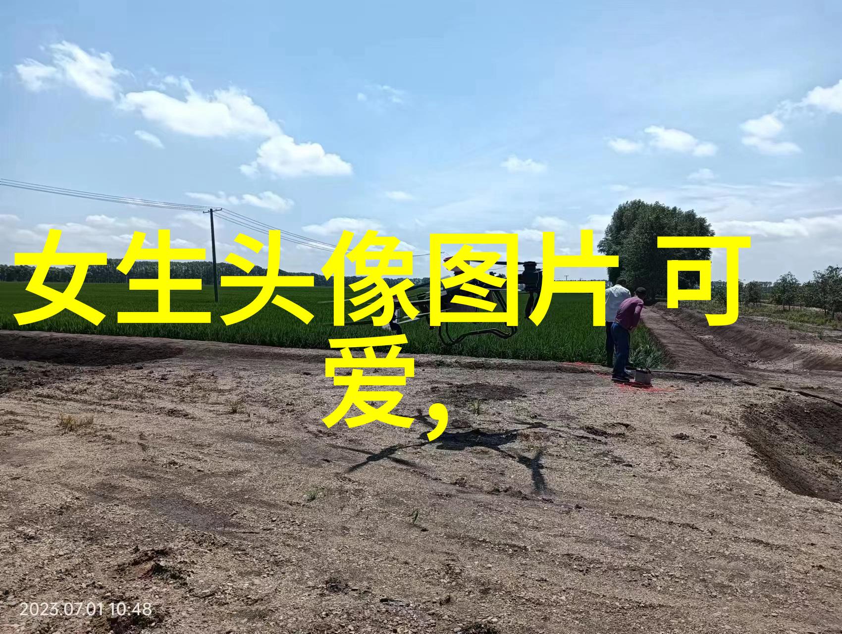 汉字的真正起源是不是真的来自鸟语兽音