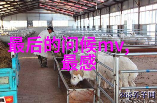 霜降经典句句入心励志说说之二四节气ppt