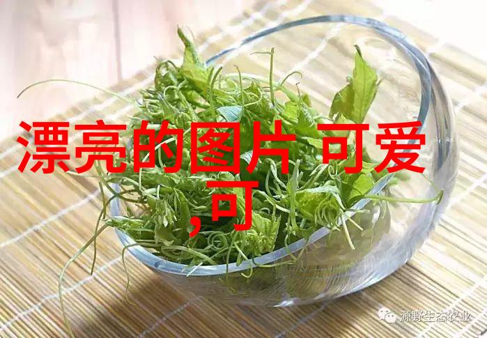 明星鼓励师-闪耀前行明星背后的心灵导师