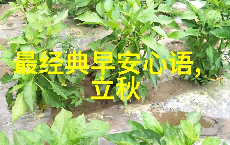 美女131我遇见的那个无意中打了个电话的她