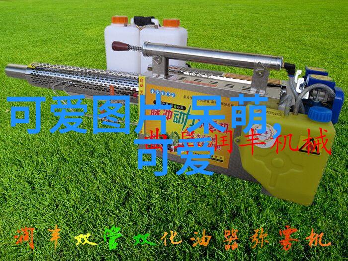 字海无涯探秘千奇百怪的汉字宝库