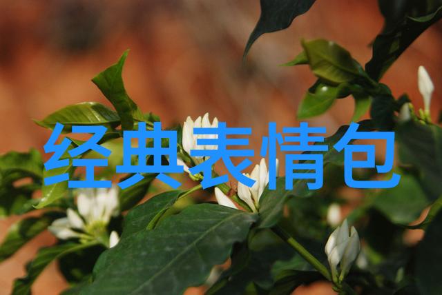 阴影中的微笑泰国恐怖片的诡异魅力