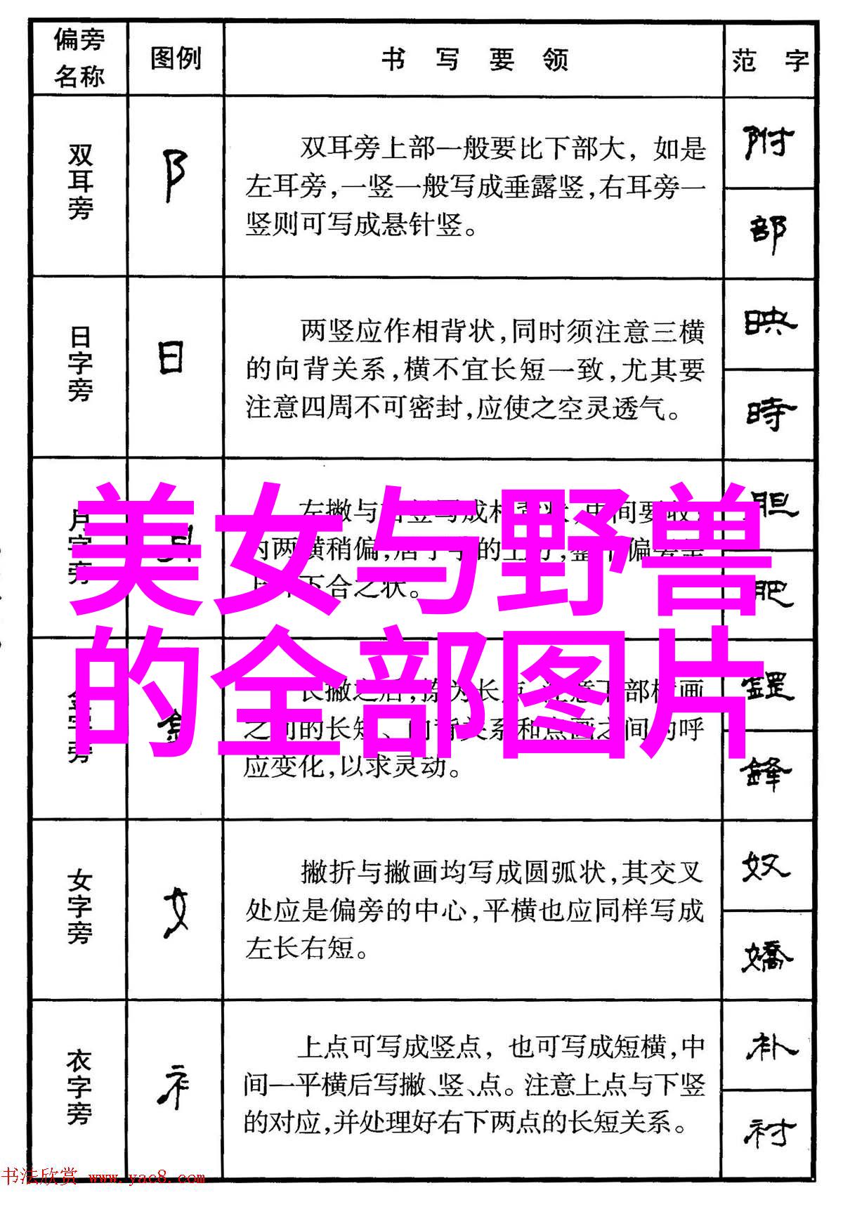 新闻女王在什么平台播 新闻女王几个女主结局是什么
