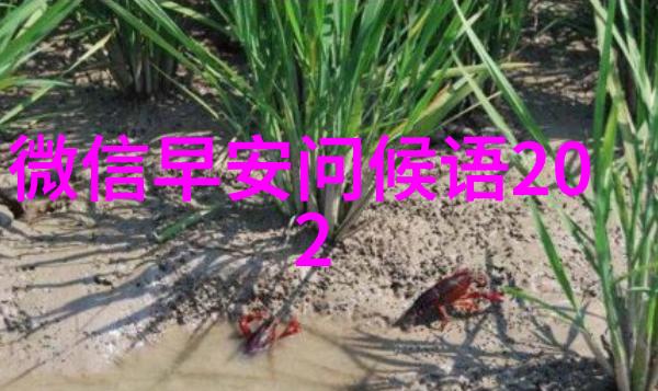 你对新城鸽瘟知多少