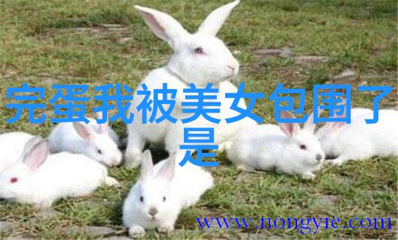 网络深渊的恐怖视频它们是如何诞生的