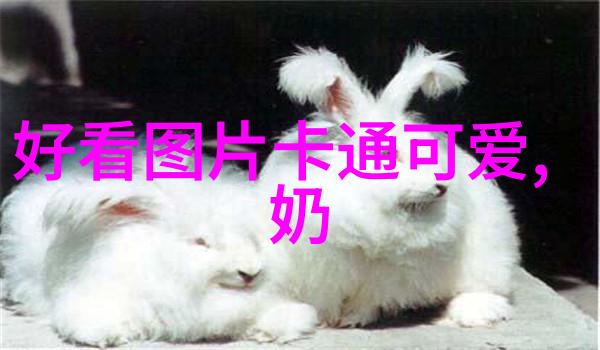 超可爱的手机壁纸我心动的萌宠风格壁纸推荐