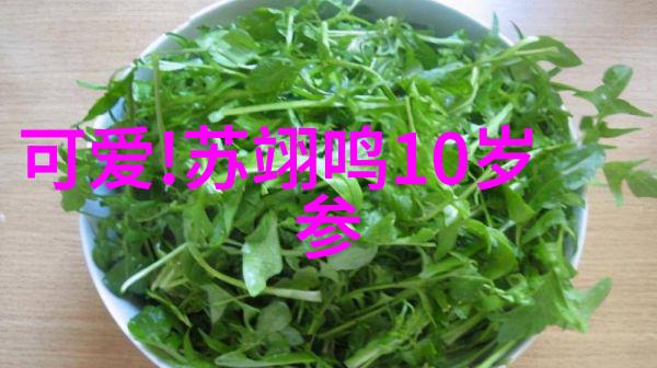 湖南娱乐频道杨幂刘诗诗同框炫彩帅气陈伟霆倾城一笑