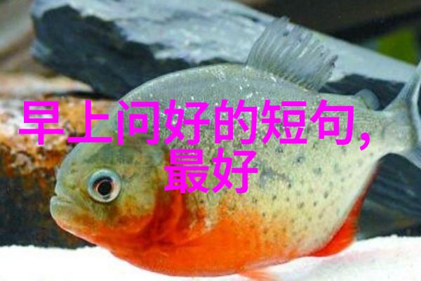 2023可爱卡通图片-新春时尚2023年最萌卡通人物画像集