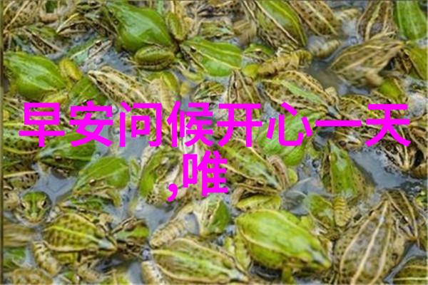 樱花影视雪中悍刀行徐骁六义子身份揭秘自然之美下的正邪分明