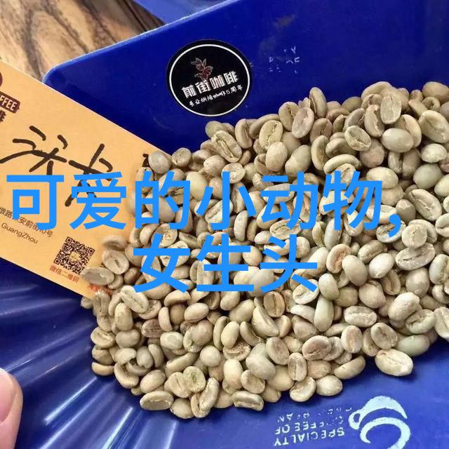 银色十字梦境穿越时空的守护符号