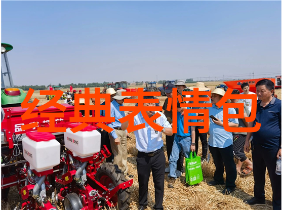 春节之际命运的钟声敲响我将在明日的新年钟声中成为你的妻子