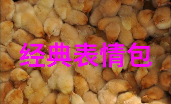 早安笑话晨曦中的欢声笑语