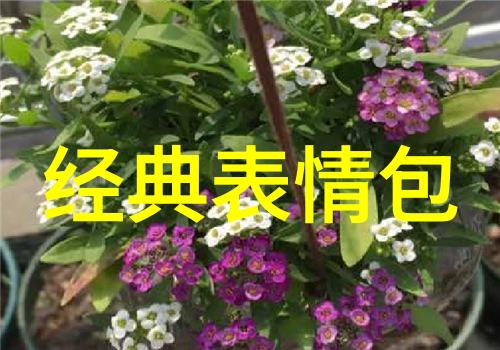 笑容满面女生卡通图片的魅力