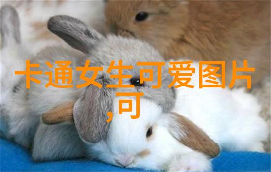 2023年卡通世界的可爱盛宴颜彩绽放