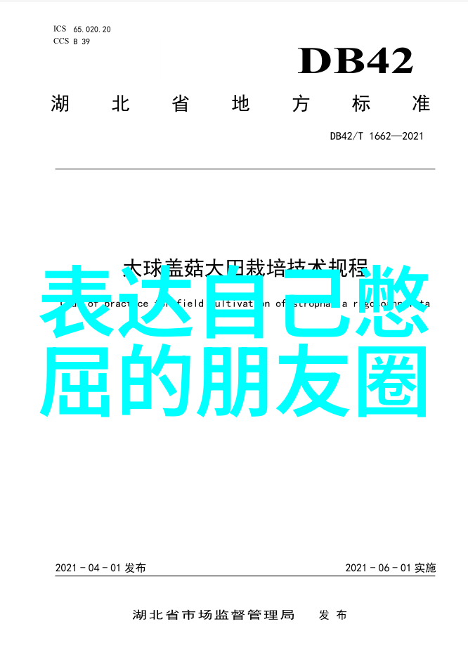 晨曦初照语声绘梦早晨问候的诗意篇章