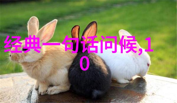 是不是想拥有一个充满正能量励志昵称这里有四个字霸气的网名推荐够你用了吗