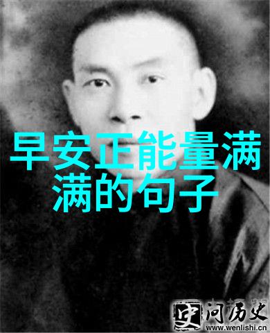 异域风华倩影中的英俊