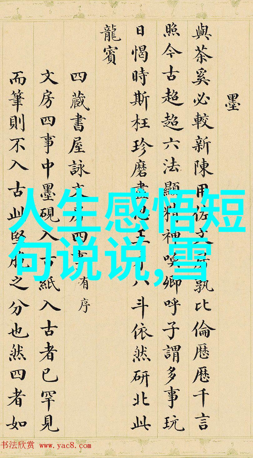 高耸的身影与璀璨的光芒美女总裁的守护者
