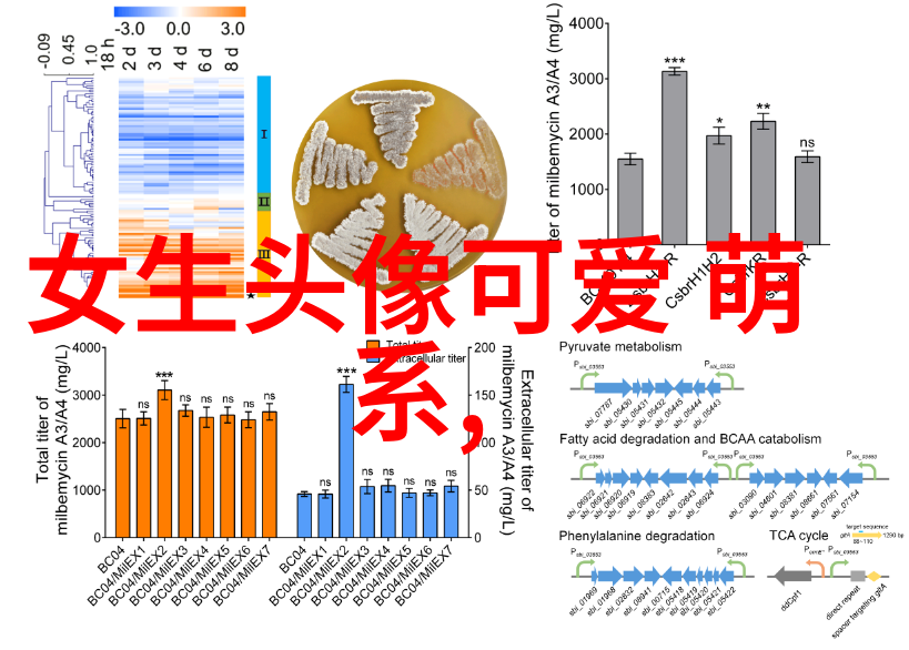 男神必备如何保持自己的帅气与实力同时发挥作用