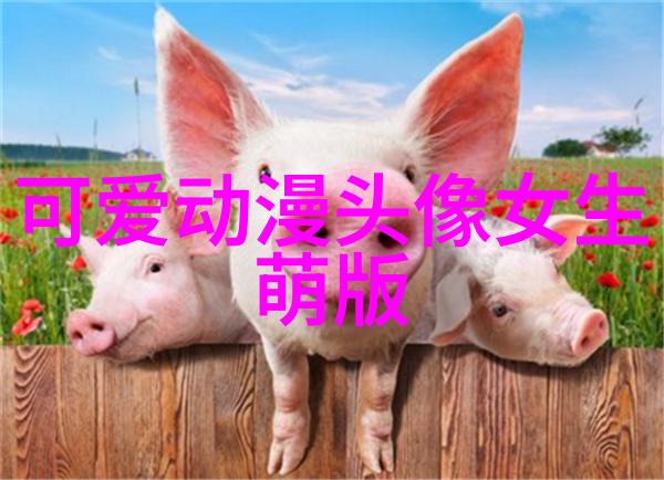 如何陪伴您的宠物狗成为真正的家园贵宾