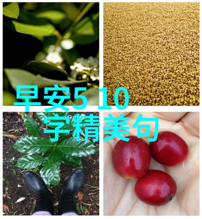 早安灵魂最新早晨好图片心情舒畅的早晨美图