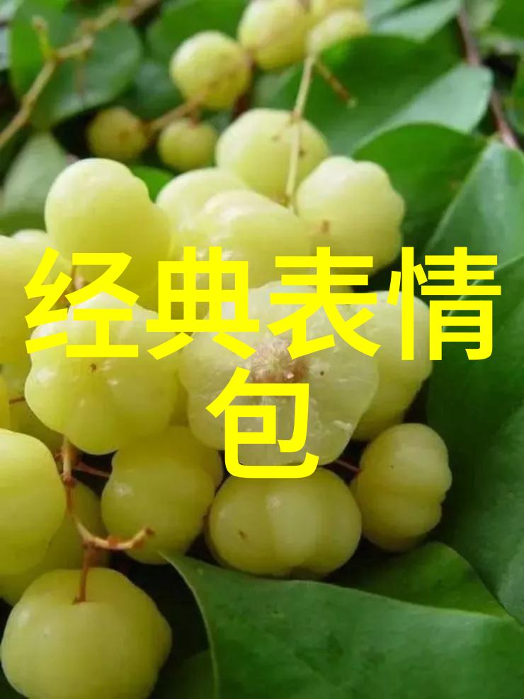 红毯上的隐世人中国明星的双重生活