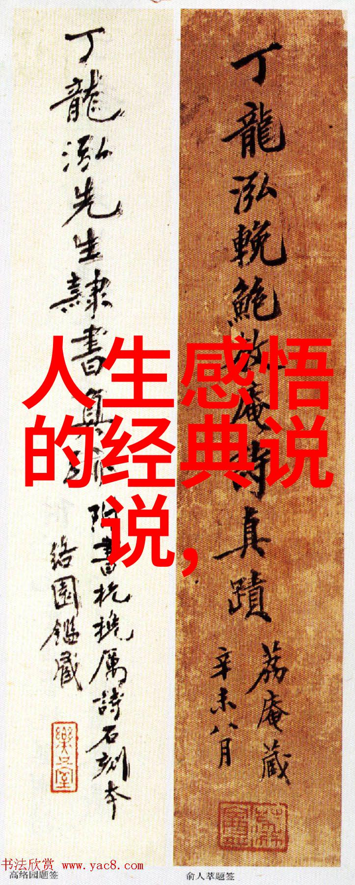 俄罗斯美女哔哩哔哩我遇见了一个超级可爱的俄罗斯美女她在哔哩哔哩上分享着自己的日常和趣事