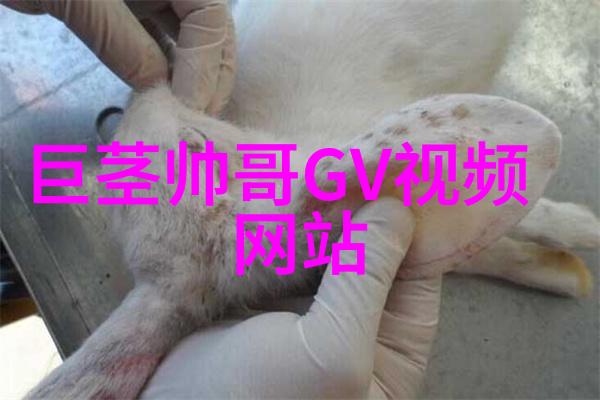我们是如何学会爱约的