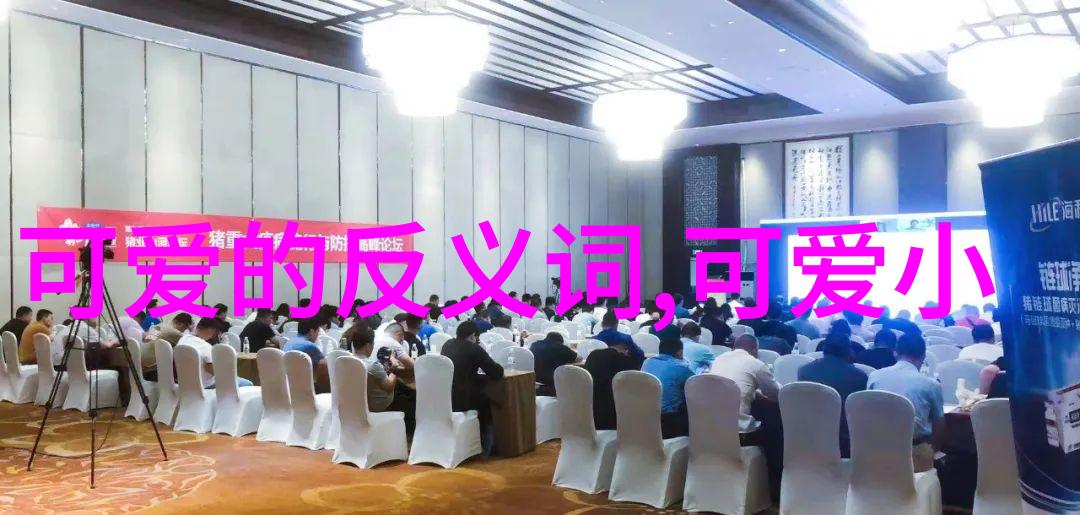 剑锋与癫狂我他人合体的娱乐圈革命